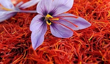 تصویر 3 از قیمت خرید زعفران اصل خراسان + فروش ویژه