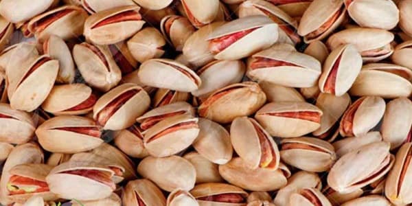 تصویر 4 از خرید پسته تازه درجه یک + قیمت فروش استثنایی