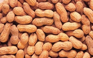 تصویر 2 از قیمت بادام زمینی ایرانی + خرید باور نکردنی