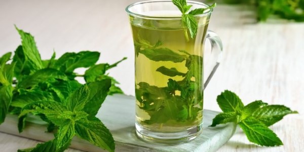 تصویر 2 از خرید و فروش نوشیدنی عرق نعنا با شرایط فوق العاده