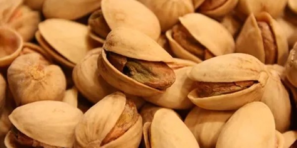 تصویر 4 از خرید پسته کله قوچی شاهپسند + قیمت فروش استثنایی