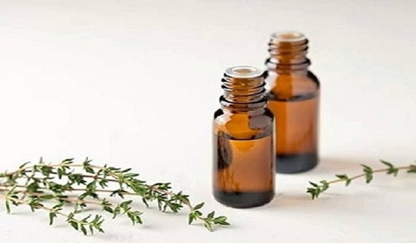 تصویر 4 از قیمت خرید اسانس آویشن باغی با فروش عمده