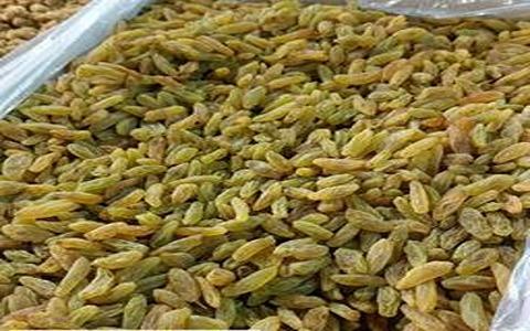 تصویر 5 از قیمت کشمش سبز قلمی کاشمر + خرید باور نکردنی