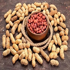 خرید و قیمت انواع بادام زمینی افغانستان