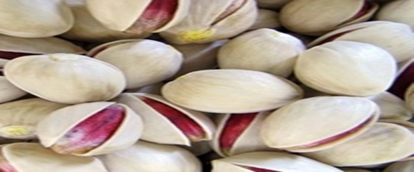 تصویر 1 از خرید و فروش پسته رفسنجان صادراتی   با شرایط فوق العاده