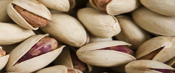 تصویر 3 از خرید و فروش پسته خطیبی مشهد با شرایط فوق العاده