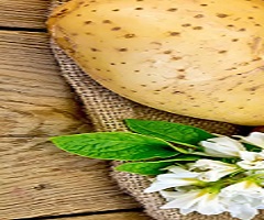 تصویر 5 از قیمت سیب زمینی پوست قهوه ای + خرید باور نکردنی
