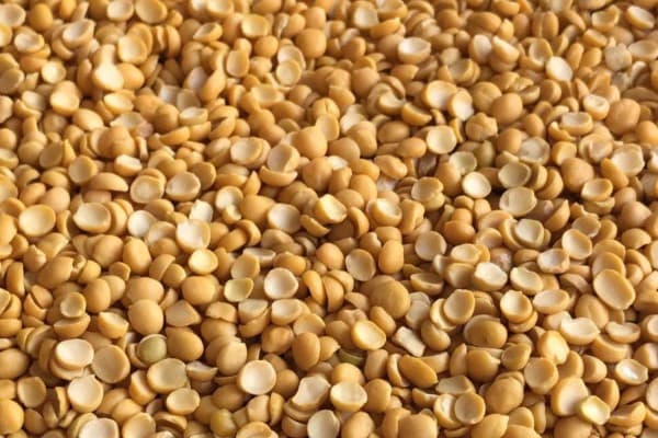 تصویر 2 از قیمت خرید لپه دانه درشت + فروش ویژه