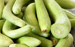 تصویر 4 از قیمت خیار چنبر سبز + خرید باور نکردنی