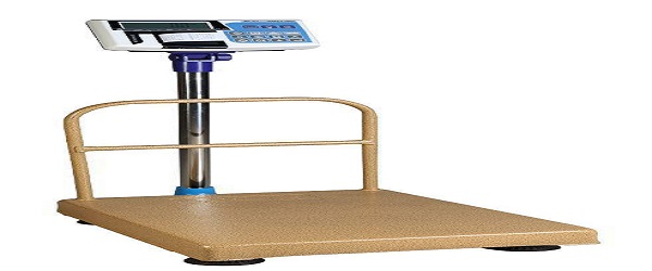 تصویر 4 از فروش باسکول نادر شیراز + قیمت خرید به صرفه