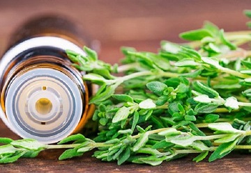 تصویر 5 از راهنمای خرید اسانس گیاهی آویشن + قیمت عالی