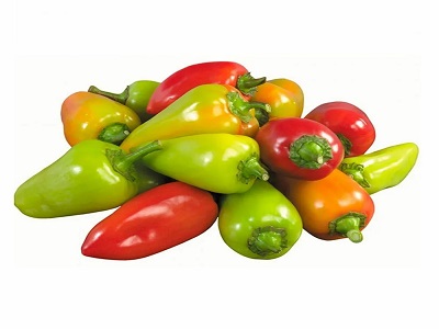 تصویر 4 از قیمت فلفل دلمه کاپی رنگی + خرید باور نکردنی