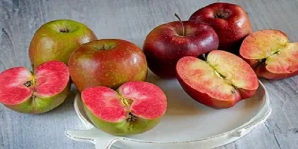 تصویر 4 از قیمت خرید سیب گلاب تابستانی + فروش ویژه