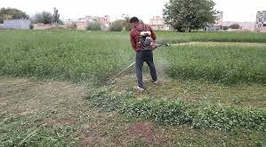 تصویر 2 از خرید و قیمت علف جمع کن دستی + فروش عمده