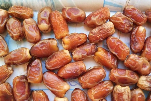 تصویر 1 از خرید خرمای زاهدی خشک + بهترین قیمت