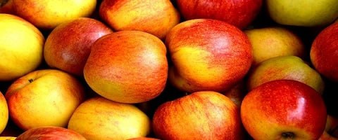 تصویر 3 از قیمت سیب سرخ شاهرود با کیفیت ارزان + خرید عمده