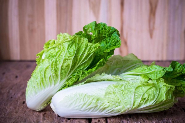 تصویر 4 از فروش کاهو چینی اصفهان + قیمت خرید به صرفه