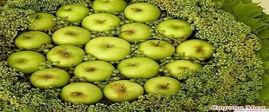 تصویر 2 از قیمت سیب سرخ ارومیه با کیفیت ارزان + خرید عمده
