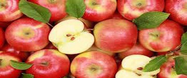 تصویر 3 از قیمت سیب سرخ ارومیه با کیفیت ارزان + خرید عمده