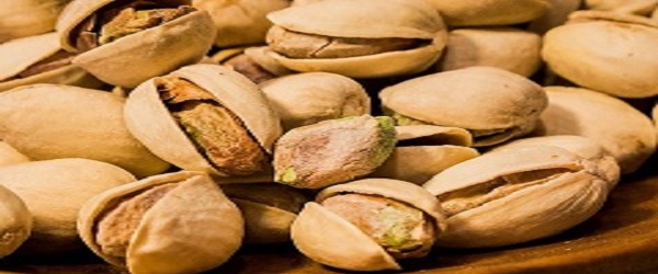 تصویر 4 از قیمت خرید پسته خام زعفرانی با فروش عمده