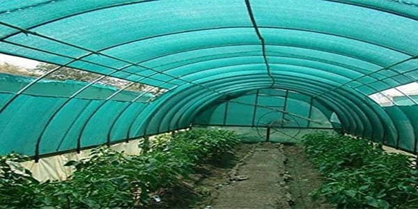 تصویر 4 از خرید توری سایبان گلخانه + قیمت فروش استثنایی