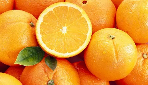 تصویر 3 از خرید و قیمت نهال پرتقال تامسون + فروش عمده