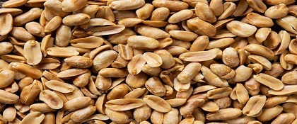 تصویر 1 از قیمت خرید بادام زمینی دامغان عمده به صرفه و ارزان