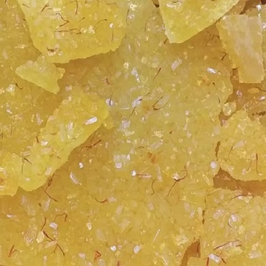 فروش انواع نبات