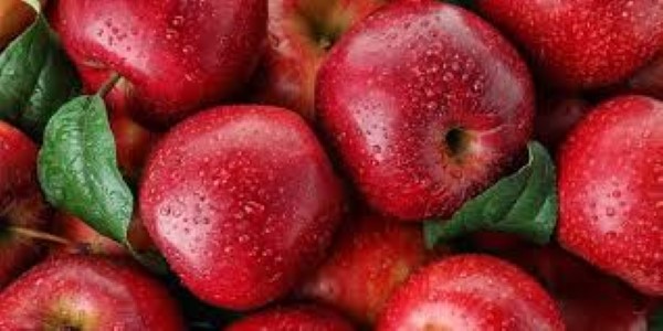 تصویر 5 از خرید سیب قرمز شاهرود + قیمت عالی باکیفیت