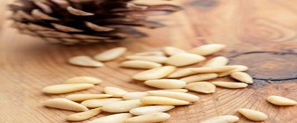 تصویر 3 از قیمت خرید بادام زمینی صادراتی + فروش ویژه