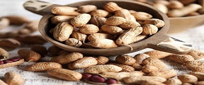 تصویر 5 از قیمت خرید بادام زمینی صادراتی + فروش ویژه