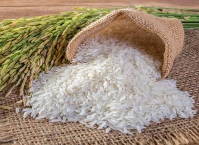 تصویر 5 از قیمت خرید برنج عنبربو طبیعت + فروش ویژه