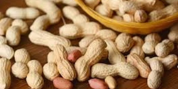 تصویر 5 از قیمت و خرید بادام زمینی صادراتی + فروش ارزان