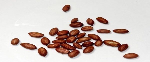 تصویر 3 از قیمت بادام زمینی دایره ای با کیفیت ارزان + خرید عمده