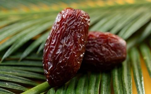 فروش خرما مجول صادراتی + قیمت خرید به صرفه
