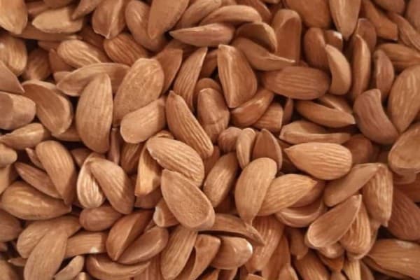 تصویر 5 از قیمت روز بادام رقم مامایی