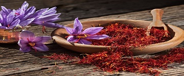تصویر 1 از فروش زعفران صادراتی سحرخیز + قیمت خرید به صرفه