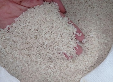 تصویر 3 از قیمت خرید برنج کامفیروز مرودشت + فروش ویژه