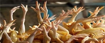 تصویر 3 از خرید و قیمت پای مرغ صادراتی اصفهان + فروش صادراتی