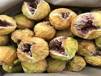 تصویر 5 از قیمت خرید انجیر پرک ممتاز + فروش ویژه