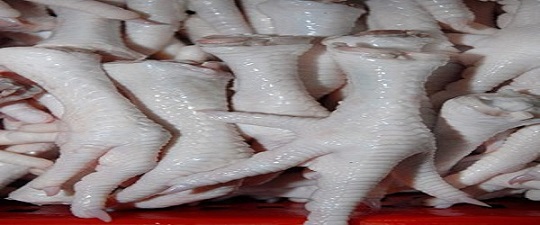 تصویر 2 از فروش  پای مرغ صادراتی کشتارگاه  + قیمت خرید به صرفه
