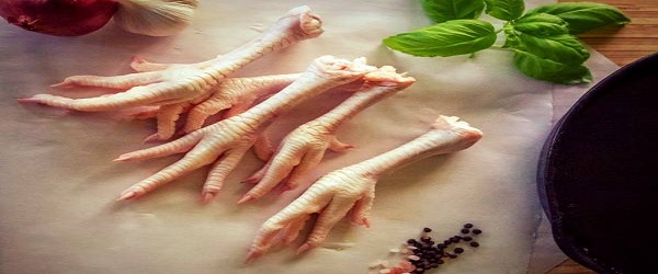 تصویر 5 از فروش  پای مرغ صادراتی کشتارگاه  + قیمت خرید به صرفه