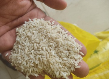 تصویر 1 از قیمت خرید برنج عنبربو عطری + فروش ویژه