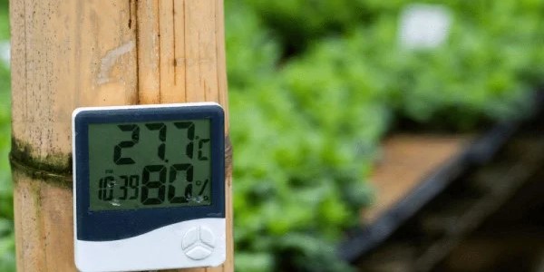 تصویر 1 از قیمت خرید دماسنج مخصوص گلخانه عمده به صرفه و ارزان