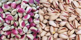 تصویر 2 از خرید پسته درجه یک صادراتی + قیمت عالی باکیفیت