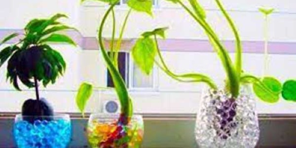 تصویر 3 از راهنمای خرید خاک ژله ای کشاورزی + قیمت عالی