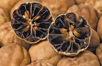 تصویر 4 از قیمت خرید لیمو عمانی جهرم + فروش ویژه