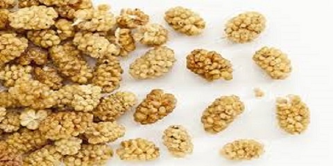 تصویر 2 از خرید توت خشک طرقبه + قیمت فروش استثنایی