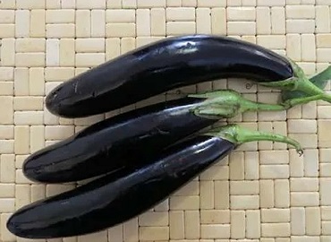 تصویر 2 از قیمت خرید بادمجان قلمی ورامین + فروش ویژه