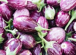 تصویر 4 از قیمت خرید بادمجان بنفش روشن + فروش ویژه